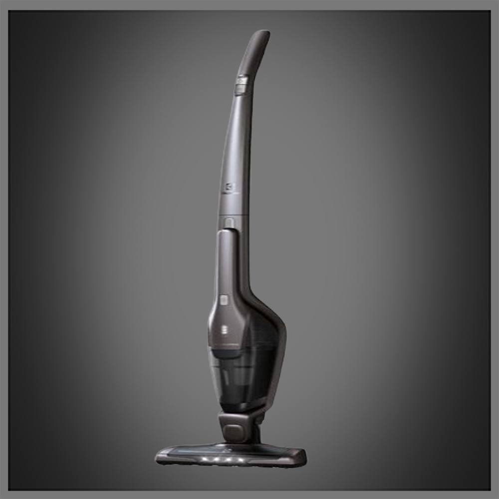 aspirator vertical electrolux