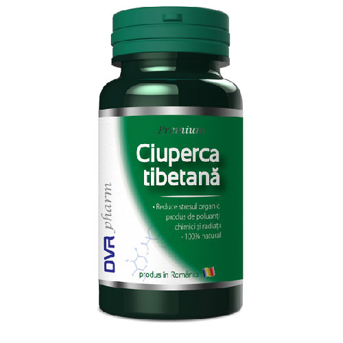 ciuperca-tibetana