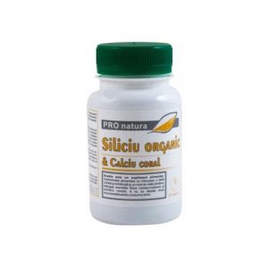 siliciu-organic