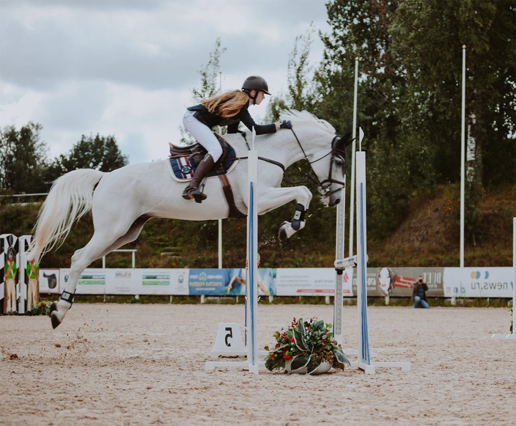 Echitatie - Aventura memorabila in aer liber