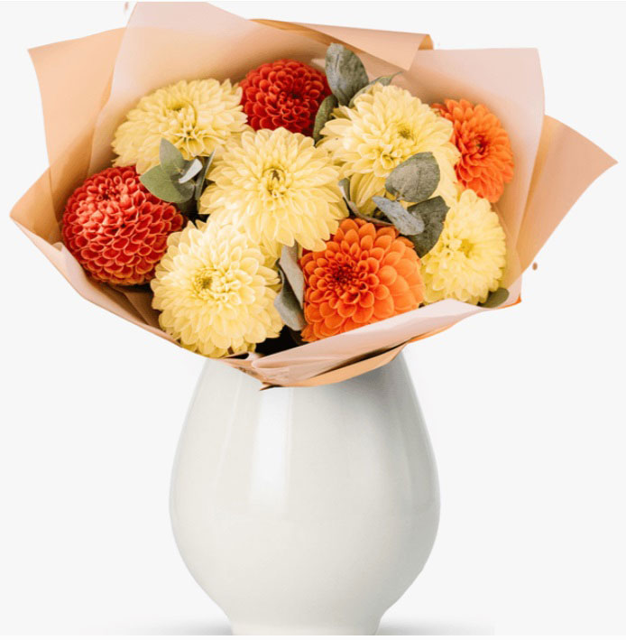 buchet-de-flori-dalii-multicolore