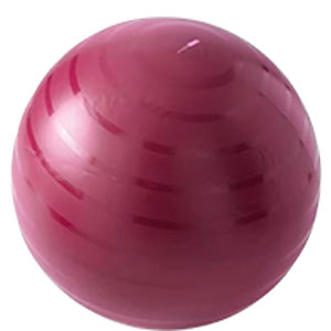 minge-fitness-swiss-gym-ball