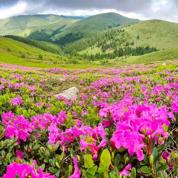 explorarea-muntilor-Bucegi-primavara explorarea-muntilor-Carpati-primavara